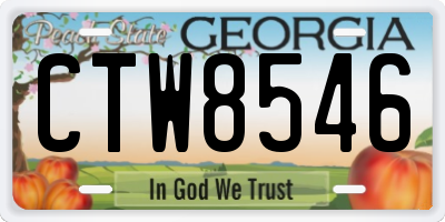 GA license plate CTW8546