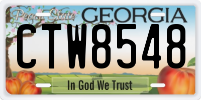 GA license plate CTW8548