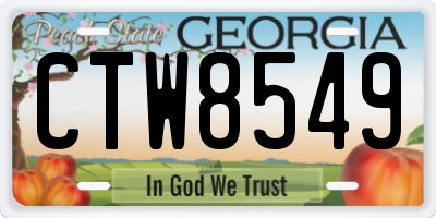 GA license plate CTW8549