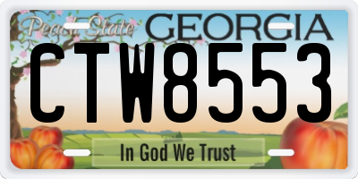 GA license plate CTW8553
