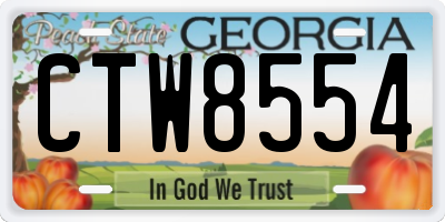 GA license plate CTW8554