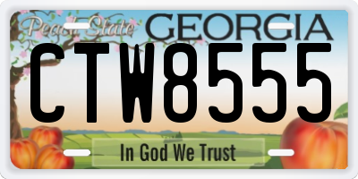 GA license plate CTW8555