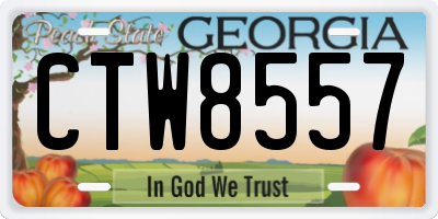 GA license plate CTW8557