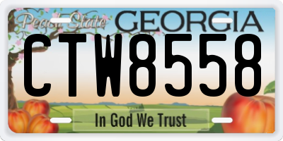 GA license plate CTW8558