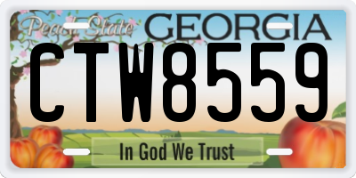 GA license plate CTW8559