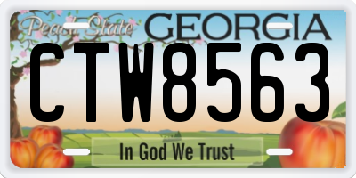 GA license plate CTW8563