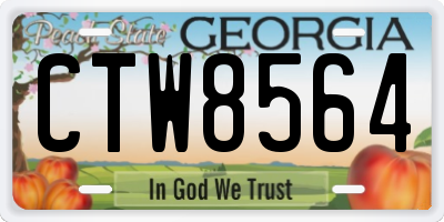 GA license plate CTW8564