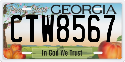 GA license plate CTW8567