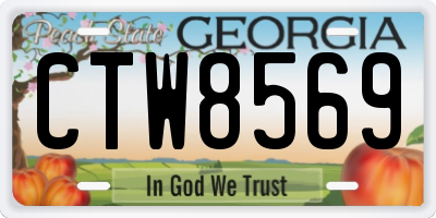 GA license plate CTW8569
