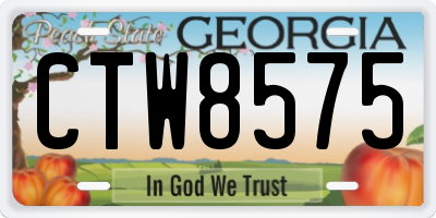 GA license plate CTW8575