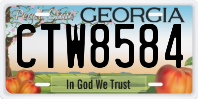GA license plate CTW8584