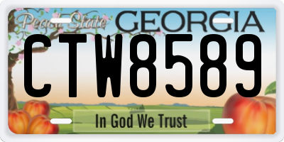 GA license plate CTW8589