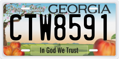GA license plate CTW8591
