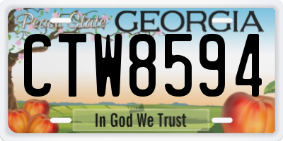GA license plate CTW8594
