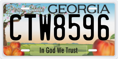 GA license plate CTW8596