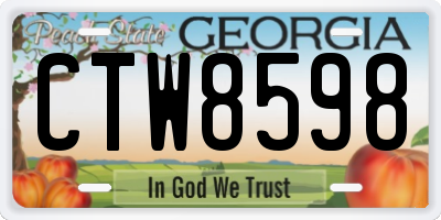GA license plate CTW8598