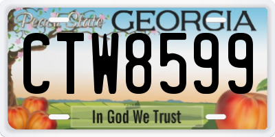 GA license plate CTW8599