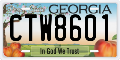 GA license plate CTW8601