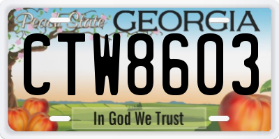 GA license plate CTW8603