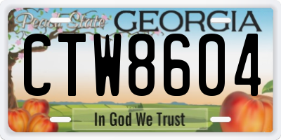 GA license plate CTW8604