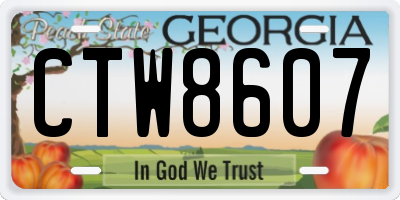 GA license plate CTW8607