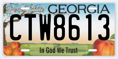 GA license plate CTW8613