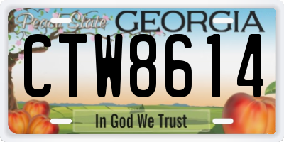 GA license plate CTW8614