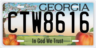 GA license plate CTW8616