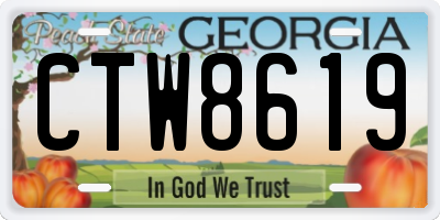GA license plate CTW8619