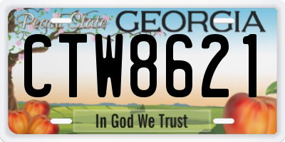 GA license plate CTW8621