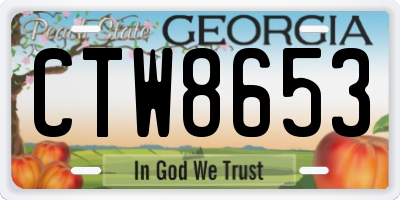GA license plate CTW8653