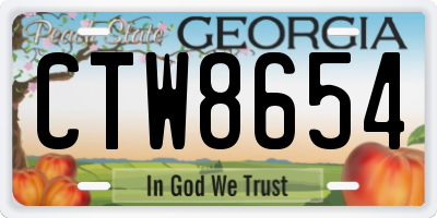GA license plate CTW8654