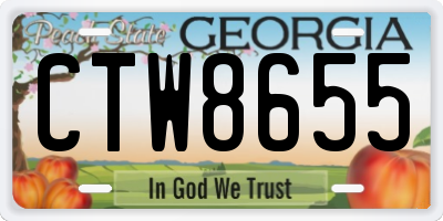 GA license plate CTW8655