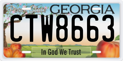 GA license plate CTW8663