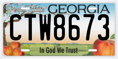 GA license plate CTW8673