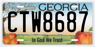 GA license plate CTW8687