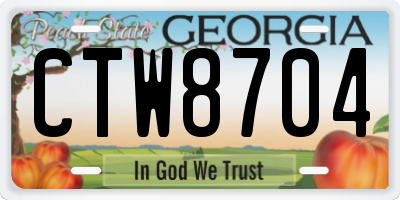 GA license plate CTW8704
