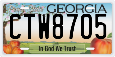 GA license plate CTW8705
