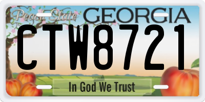 GA license plate CTW8721