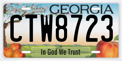 GA license plate CTW8723