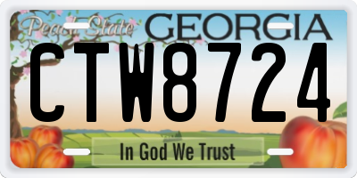GA license plate CTW8724