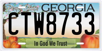 GA license plate CTW8733