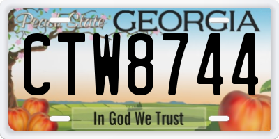 GA license plate CTW8744