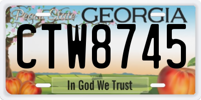 GA license plate CTW8745