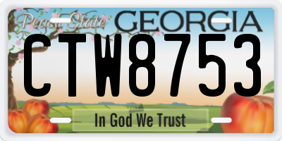 GA license plate CTW8753