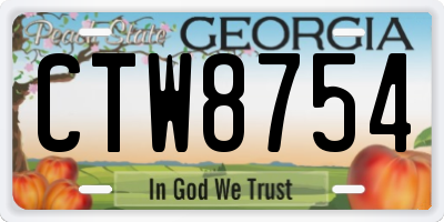 GA license plate CTW8754