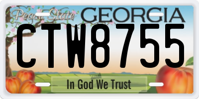 GA license plate CTW8755
