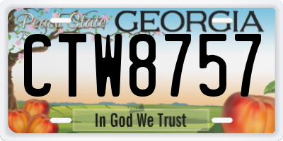 GA license plate CTW8757