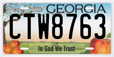 GA license plate CTW8763
