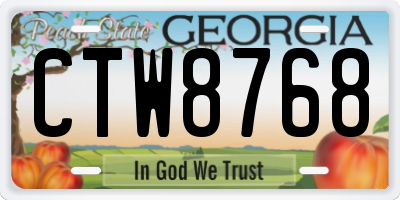 GA license plate CTW8768